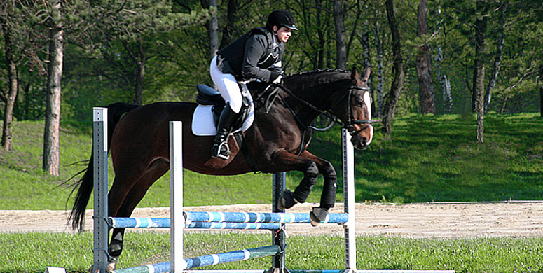 Ausbildung und Lebenslauf