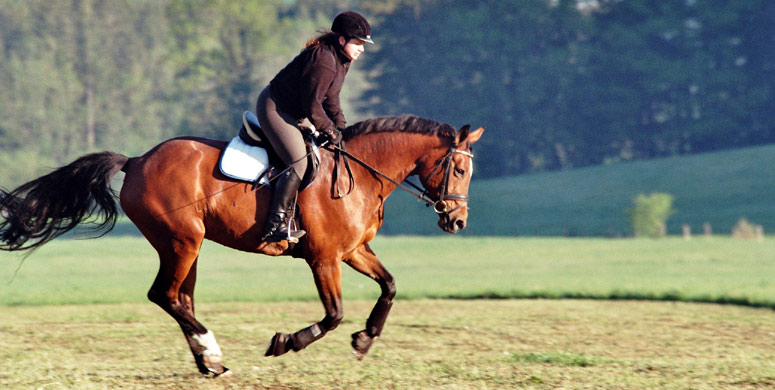 die Freude am Reiten auf dem R&uuml;cken der Pferde
