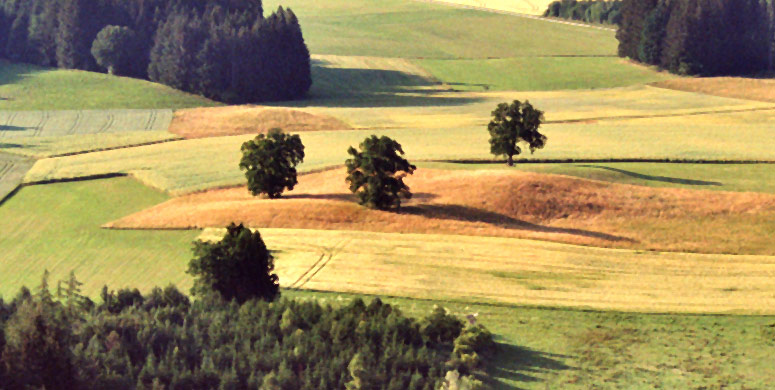 Impressum und Kontaktinformationen zur Reitschule Reichert
